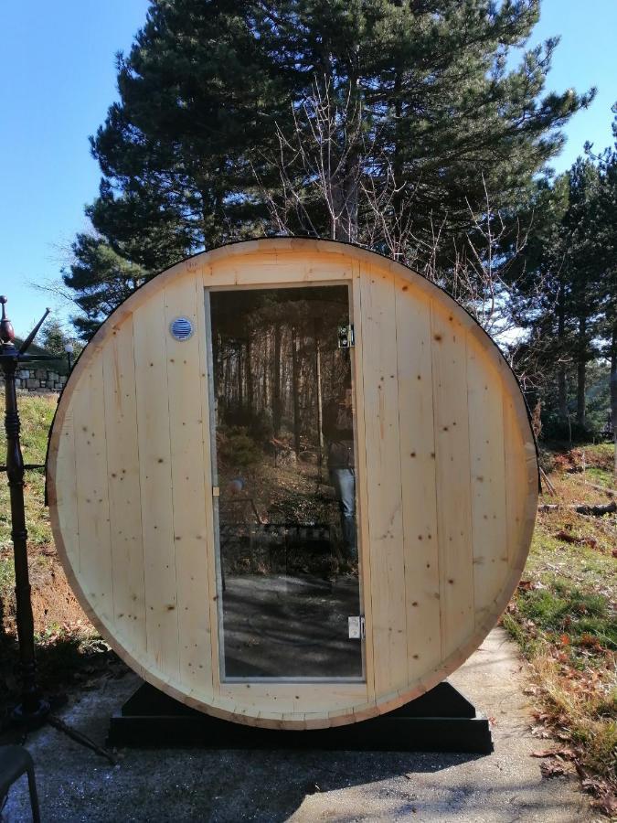 Elatodasos Таксиархис Екстериор снимка